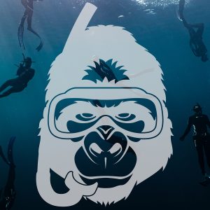 Das Watermonkey Event im Dive4Life
