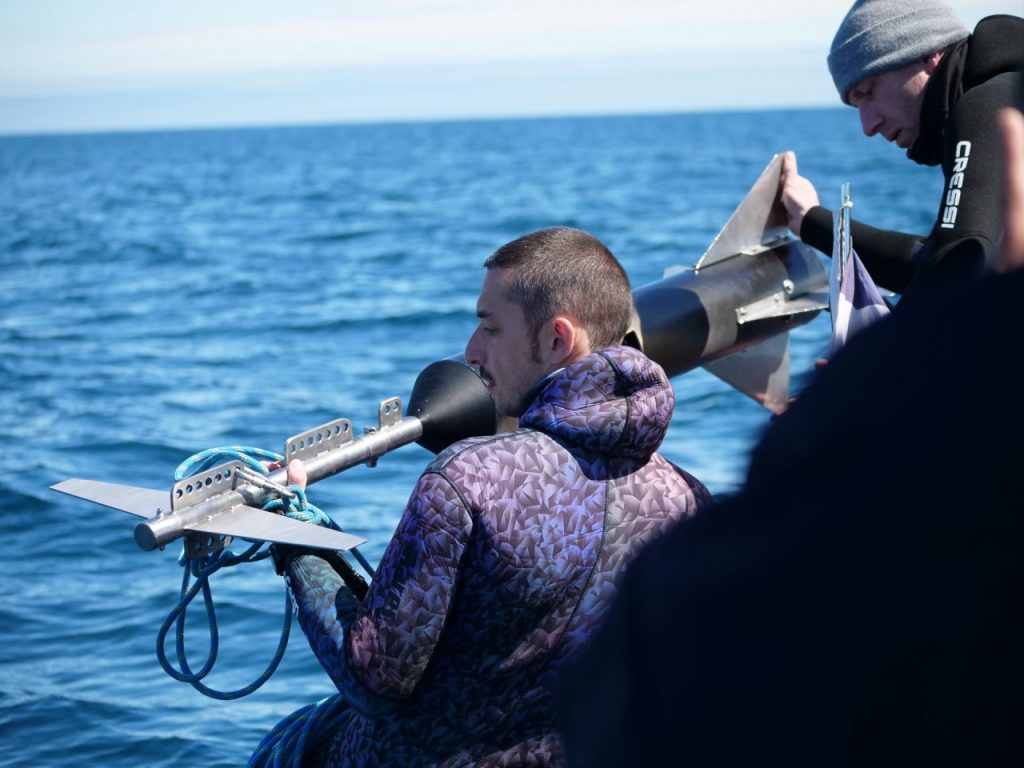 Expedition Capbreton Pilotwhale